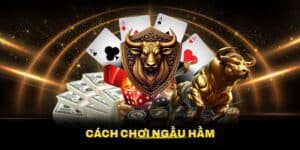 Mẹo Và Cách Chơi Ngầu Hầm Hiệu Quả Mà Tân Thủ Nên Biết 