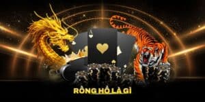 Tìm Hiểu Rồng Hổ Là Gì? Cách Chơi Rồng Hổ Hay Tại Hitclub