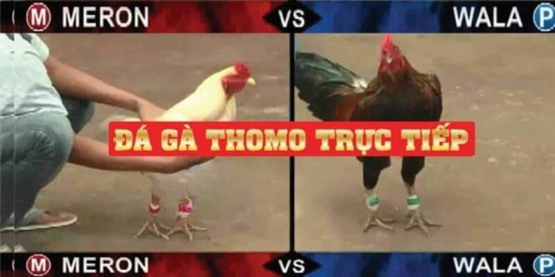 da ga truc tiep c4 675ab38c7b717