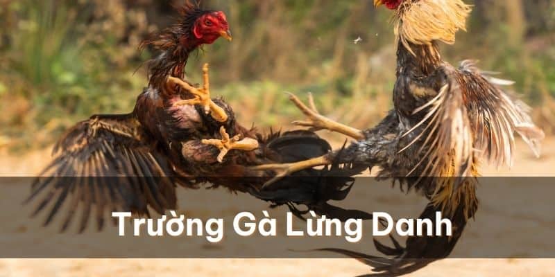 ga choi c1 vip 675ab6d58cc1b