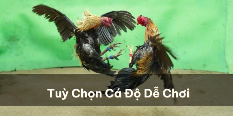 Cách đăng ký chơi gà chọi C1 VIP