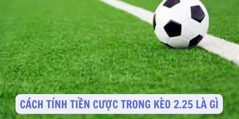 Kèo 2.25: Hướng dẫn chi tiết từ A đến Z cho người chơi cá cược 3 Cách tính tiền cược trong kèo 2.25