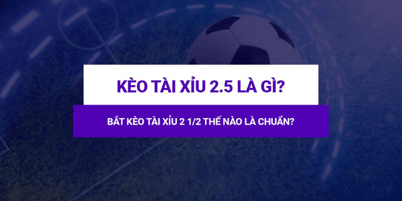Kèo 2.5 Là Gì? Hướng Dẫn Chi Tiết Cho Người Mới Chơi Tại 888b 1 Kèo 2.5