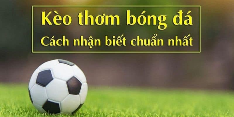 Các cách nhận biết dự đoán kèo thơm bóng đá chính xác