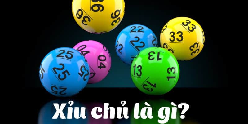 Xỉu Chủ Là Gì? Bật Mí Cách Bắt Xỉu Chủ Chuẩn Không Cần Chỉnh 1 Xỉu Chủ