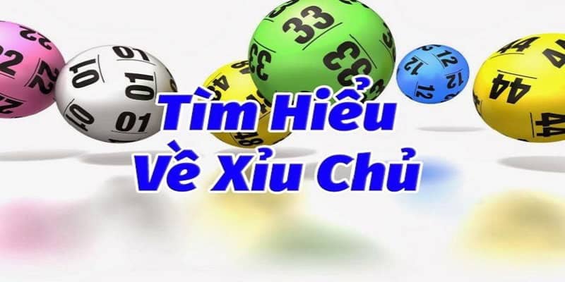 Xỉu Chủ Miền Nam: Mẹo Dự Đoán Chính Xác 90% Cho Bạc Thủ 1 Khám phá cách chơi xỉu chủ